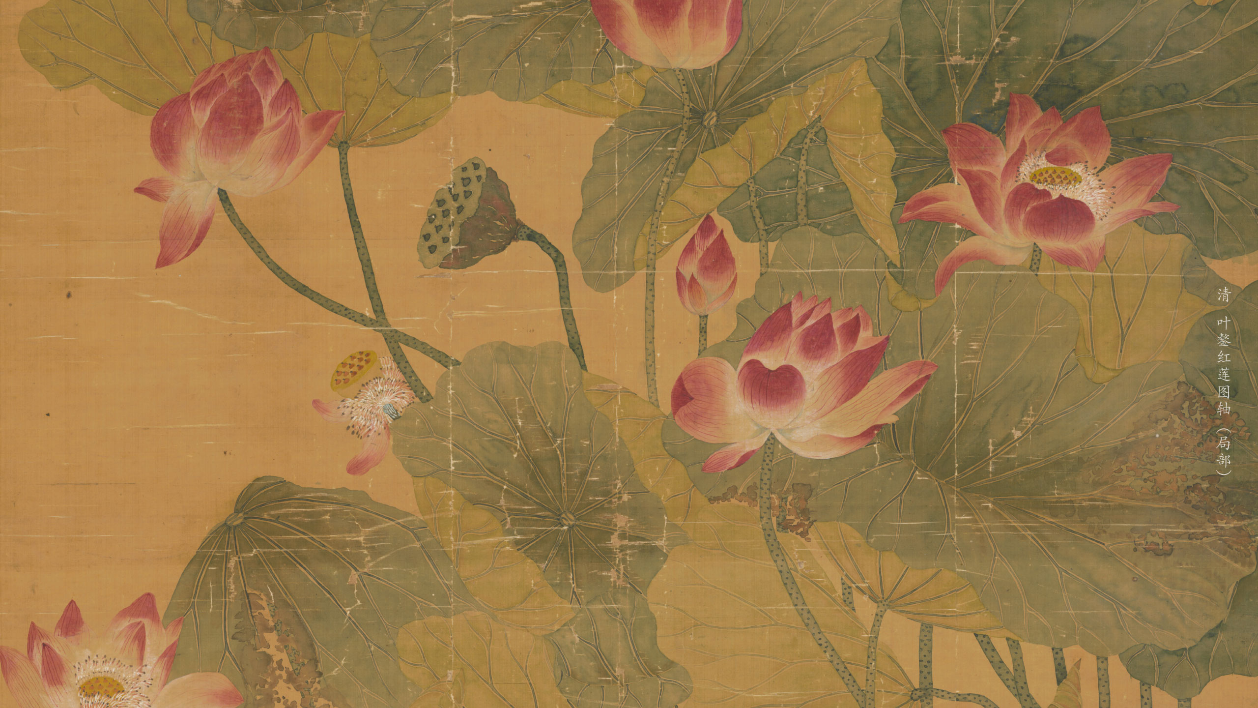 新网文库,文档,模版